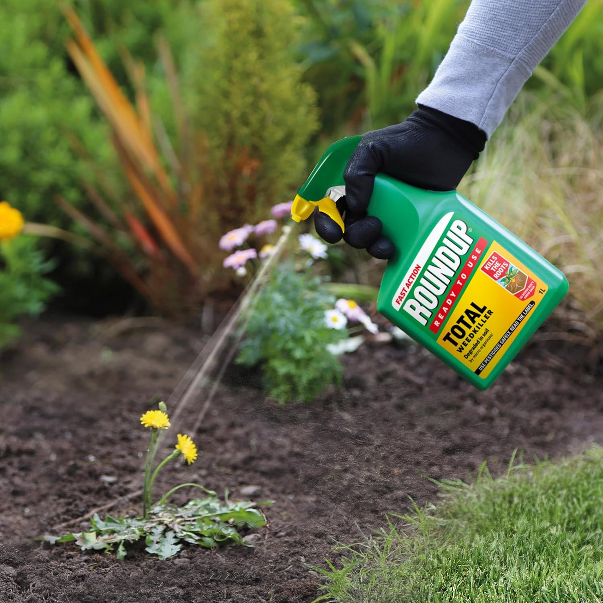 Buy Roundup Fast Action Weed Killer 1 Litre Spray