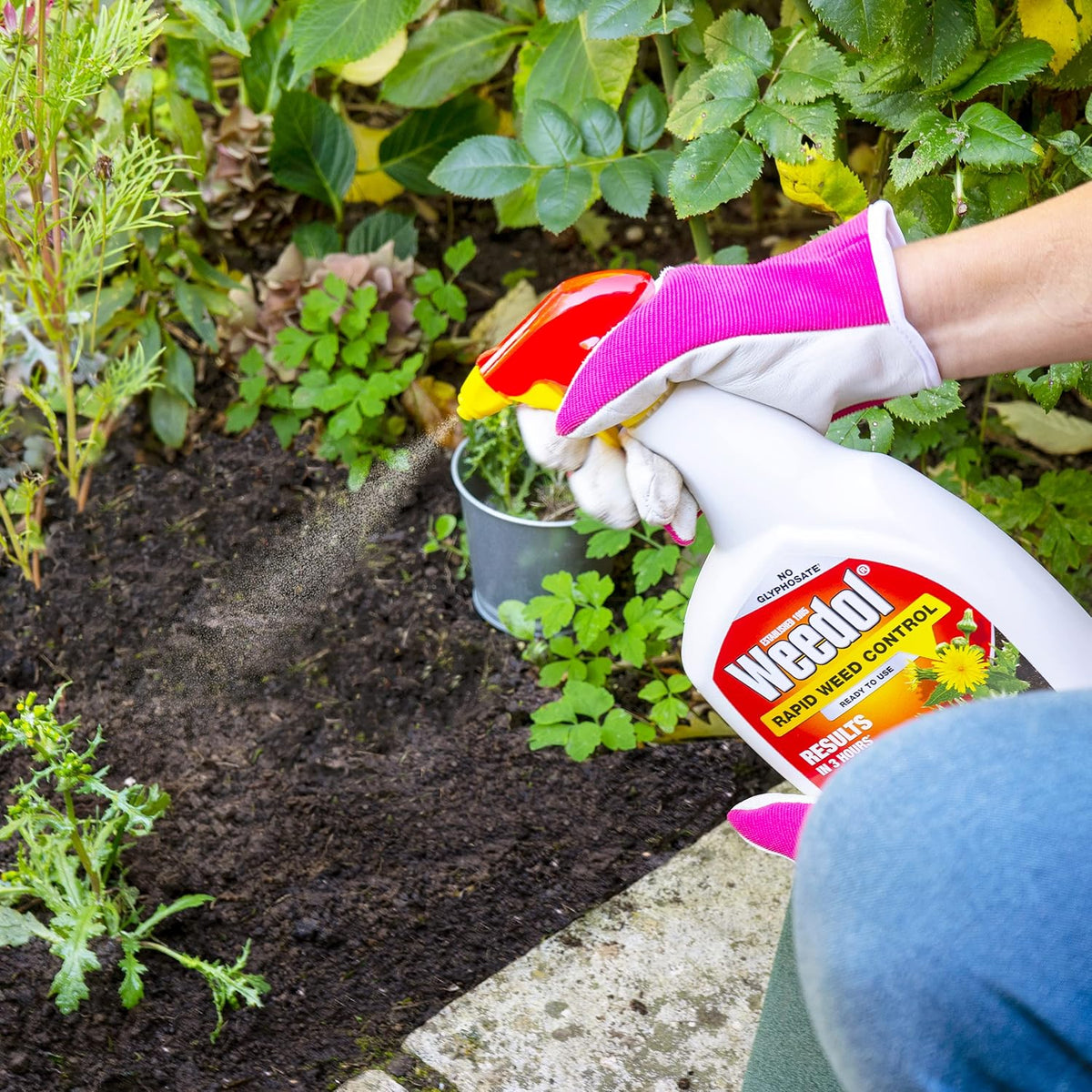 Buy Weedol Rapid Weedkiller 1L Ready-to-Use Spray