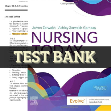 Nursing Today: Transition and Trends 11th Edition by Zerwekh | Test Bank