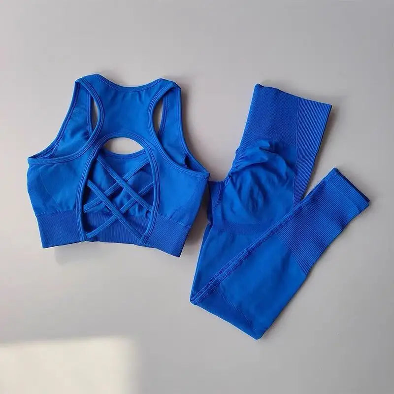 2PCS Sports Bra Women's Set Professional Fitness Tank Top Bra Shockproof Running Leggings Yoga Suit Beautiful Back Bra Clothing Blue China Mainland