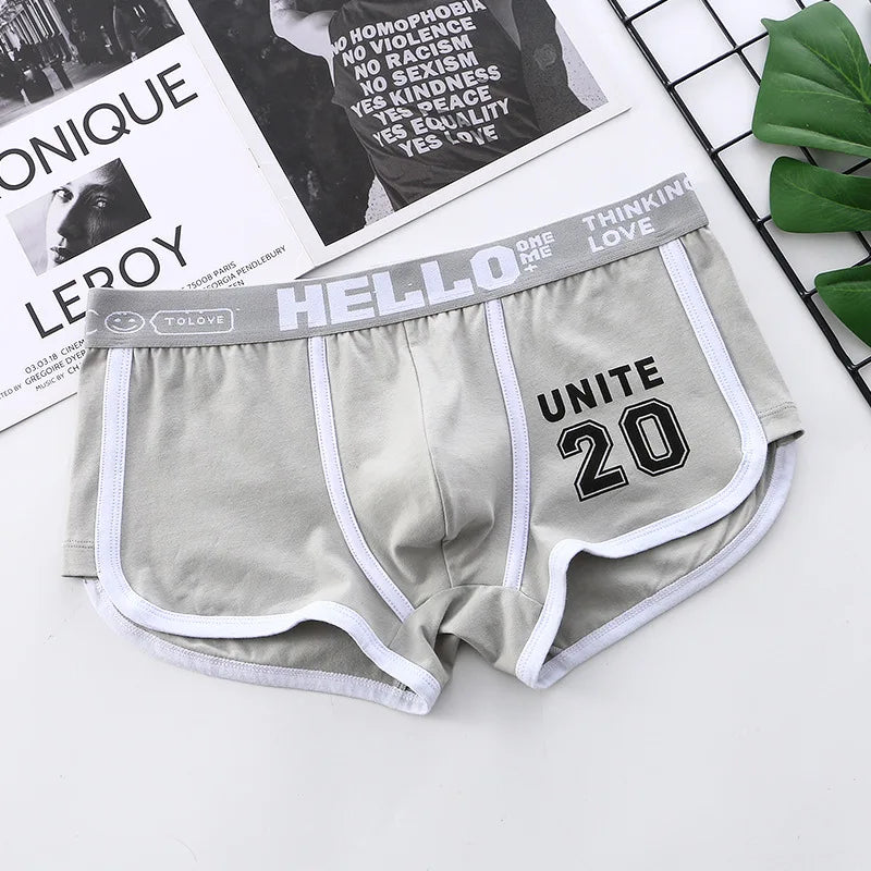 1/3/4 PCS Men's Underwear Boxer Shorts Sexy Panties Cotton Boxers Sports Comfort Man Underpants Shorts Homme U Convex Lingerie PD3205-Lightgray