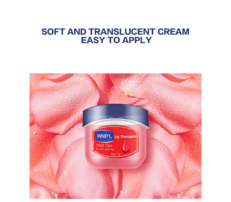 Natural Moisturizing Lip Balm Set (4/6/8pcs) – Hydrating Plant-Based Jelly Lip Care for Dry, Cracked Lips Repair & Smooth Formula