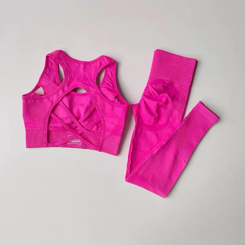 2PCS Sports Bra Women's Set Professional Fitness Tank Top Bra Shockproof Running Leggings Yoga Suit Beautiful Back Bra Clothing Rose red China Mainland