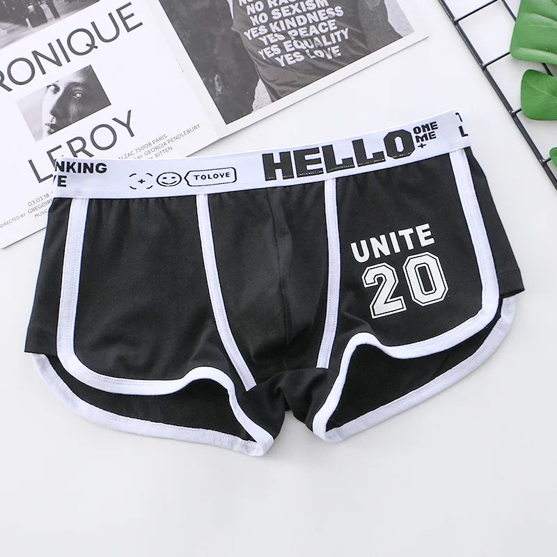 1/3/4 PCS Men's Underwear Boxer Shorts Sexy Panties Cotton Boxers Sports Comfort Man Underpants Shorts Homme U Convex Lingerie PD3205-Black