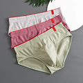 1/3PCS Men Briefs Mid Waist Elastic Soft Breathable Anti-septic U Convex Striped Solid Color Casual Men Underpants underwear men 3PC3220-5