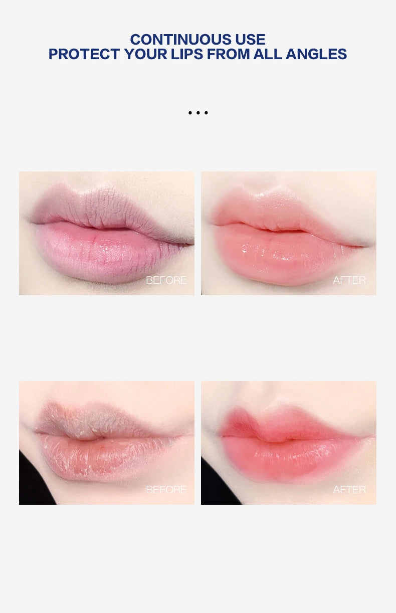 Natural Moisturizing Lip Balm Set (4/6/8pcs) – Hydrating Plant-Based Jelly Lip Care for Dry, Cracked Lips Repair & Smooth Formula