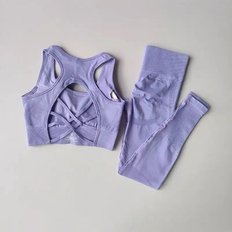 2PCS Sports Bra Women's Set Professional Fitness Tank Top Bra Shockproof Running Leggings Yoga Suit Beautiful Back Bra Clothing Light purple China Mainland