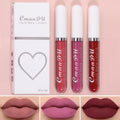 Long-Lasting Velvet Matte Liquid Lipstick for Women