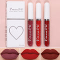 Long-Lasting Velvet Matte Liquid Lipstick for Women