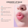 Watermelon Lip Balm Glossy Moisturizer Nicotinamide Lipstick Moisturizing Anti-Dry Anti Crack Clear Crystal Lip Balm
