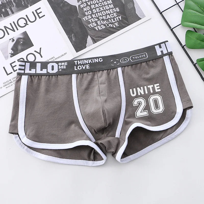 1/3/4 PCS Men's Underwear Boxer Shorts Sexy Panties Cotton Boxers Sports Comfort Man Underpants Shorts Homme U Convex Lingerie PD3205-Deepgray