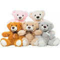 5pcs Bears Stuffed Animals Plush Toys Gift for Kid Girlfriend,13.5in Stuffed Bears for Christmas Valentine’s Day BirthdayGife 5pcs Multicolor 35cm
