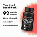Buy Shilajit Sea Moss & Lion’s Mane Vegan Capsules – 800mg Daily Wellness Formula (60 Capsules)