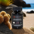 Buy Shilajit Sea Moss & Lion’s Mane Vegan Capsules – 800mg Daily Wellness Formula (60 Capsules)